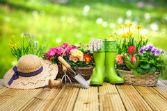 Class catalog graphic ClassGraphic