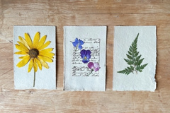 The Art of Leaf and Flower Pressing - Make Your Own Press Graphic