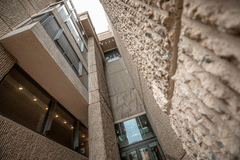 Architectural Walking Tour of Yale and Lunch in New Haven Graphic