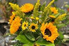 Create a Summery Flower Arrangement NEW Graphic