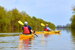 Kayaking: Guided Paddle through Mill Creek Marsh NEW Graphic